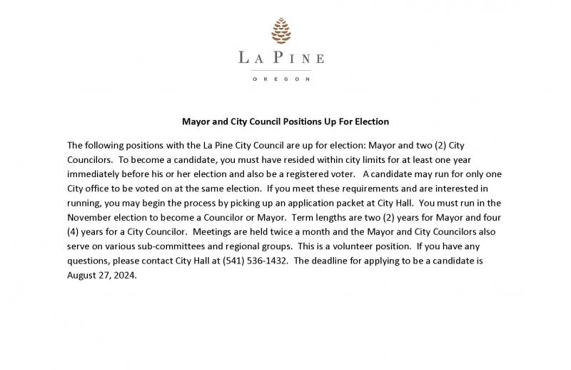 Mayor and City Council Positions Up for Election